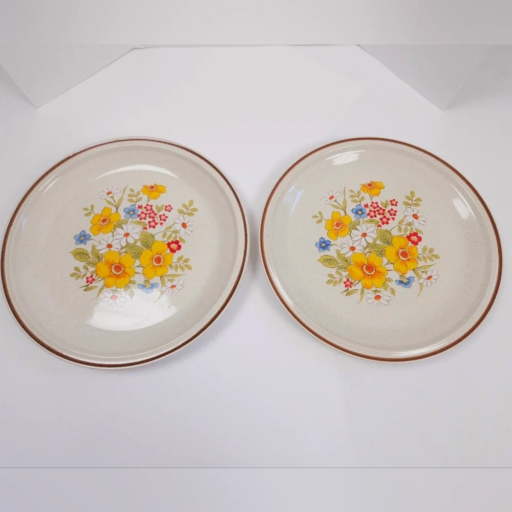 Casual Elegance Hearthside Stoneware Wildflower Dinner Plates Set Of 2 Japan
